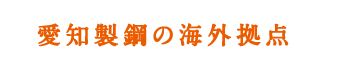 愛知製鋼の海外拠点